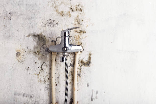 Best Mold Testing  in Redmond, WA