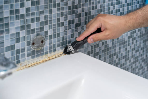 Best Mold Removal Process  in Redmond, WA